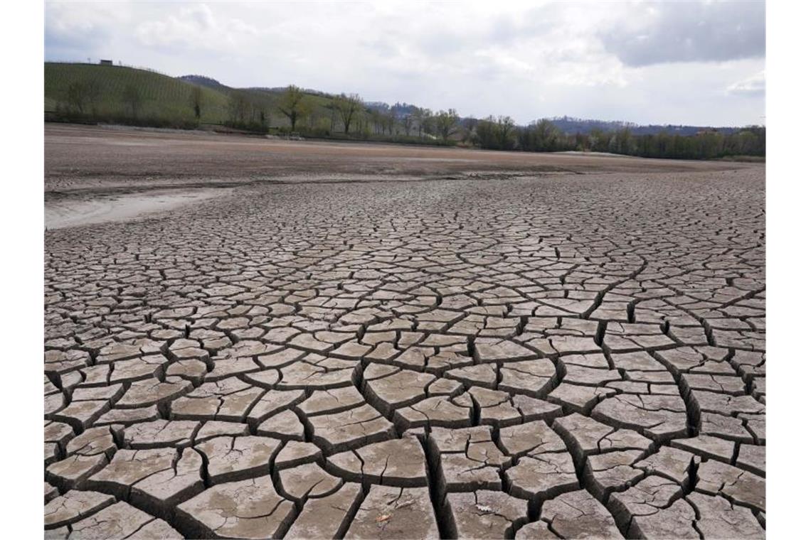 Wasser fast vollständig abgelassen: See wird saniert