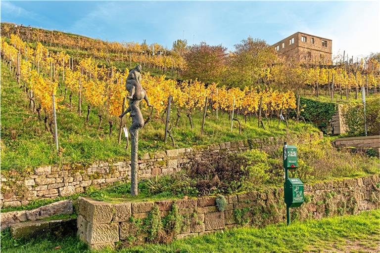 Aus den Lagen um die Yburg bei Kernen im Remstal stammt der Jubiläumswein für den Kreis, außerdem werden dort die Trockenmauern saniert. Foto: Landratsamt Rems-Murr-Kreis