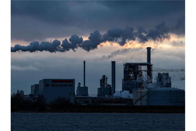 Aus den Schornsteinen der Holzwerke am Wismarer Hafen steigt Rauch auf. Foto: Jens Büttner/dpa-Zentralbild/dpa