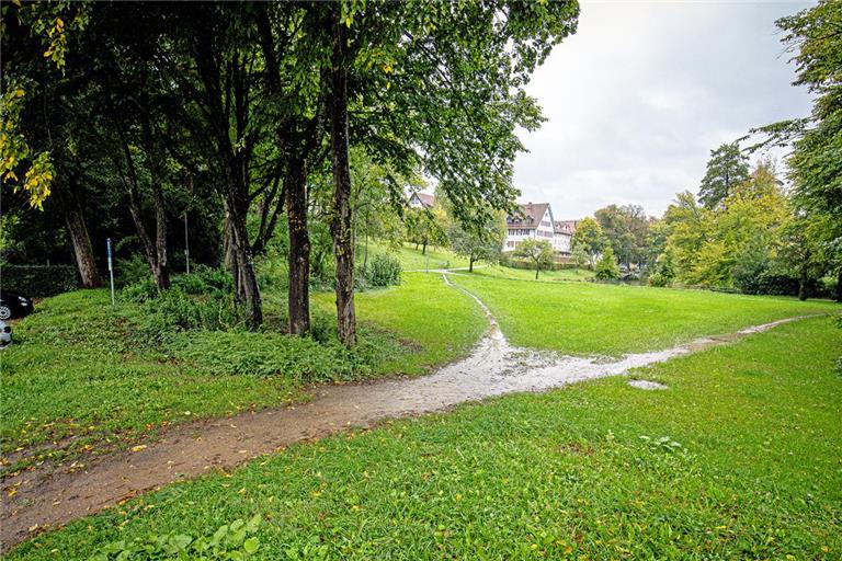 Aus den Trampelpfaden im Schlosspark könnten bald richtige Geh- beziehungsweise ein Radweg werden. Auch überlegt die Gemeinde, hier einen Rastplatz mit Sitzmöglichkeiten und Bouleplatz anzulegen. Foto: Alexander Becher