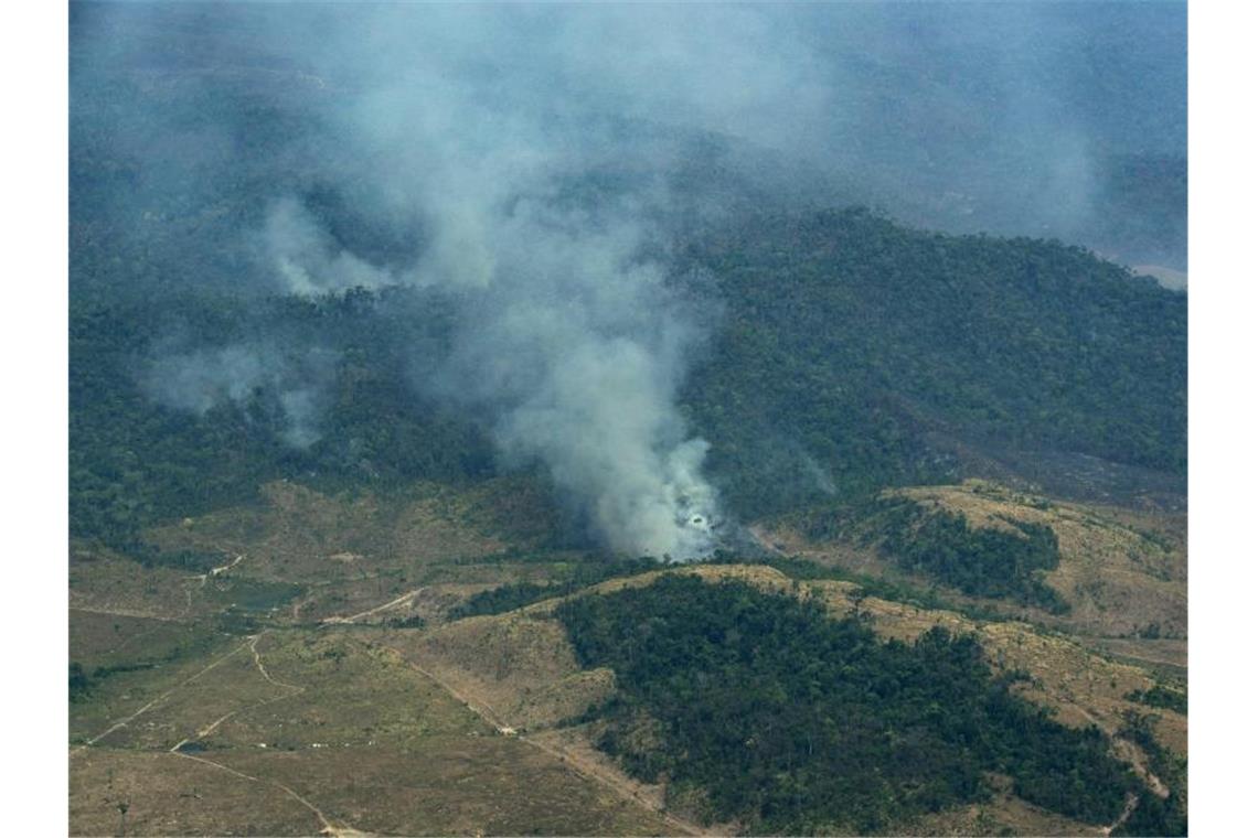 Aus einem Regenwald im Bundesstaat Para steigt Rauch auf. Foto: Leo Correa/AP