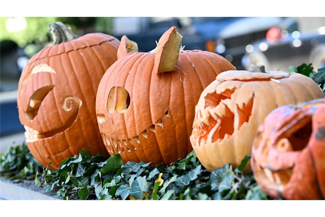 Kürbis-Boom: Pumpkin ist populär Ausgehöhlte Kürbisse mit gruseligen Fratzen in einem Vorgarten in Frankfurt am Main. (Archivbild)