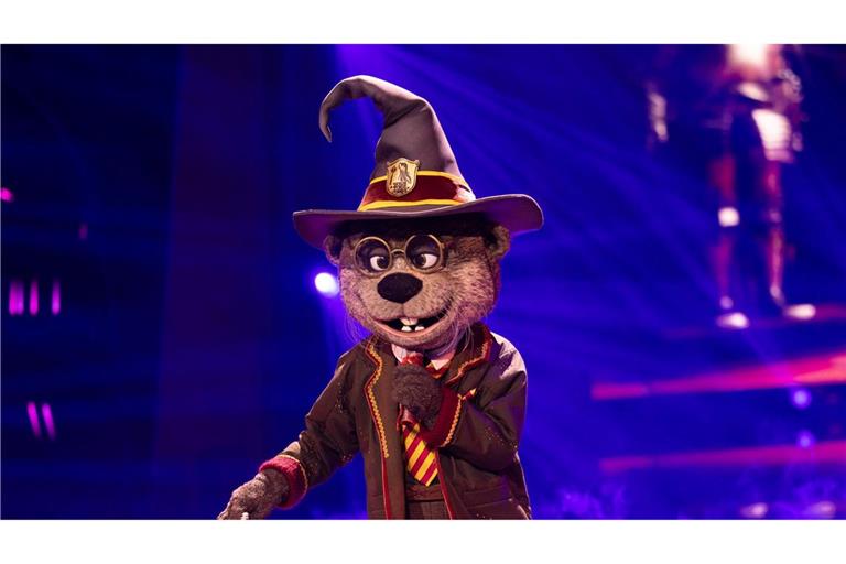 Ausgezaubert für Harry Otter: Clemens Schick ist in der Musikshow "The Masked Singer" enttarnt worden. (Archivbild)