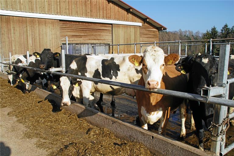 Auslauf ins Freie ist eines von vielen Kriterien für die Stufe drei des geplanten Labels. Foto: Ute Gruber
