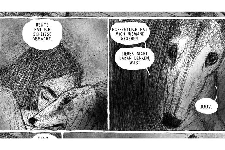 Ausschnitt aus dem preisgekrönten Comic „Jakob Neyder“ von Franz Suess.