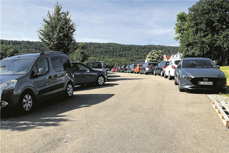 Auto an Auto: Die Industriestraße in Allmersbach im Tal ist regelmäßig komplett zugeparkt. Das Problem soll jedoch mit neuen Regelungen angepackt werden. Fotos: Fraunhofer-Institut Stuttgart