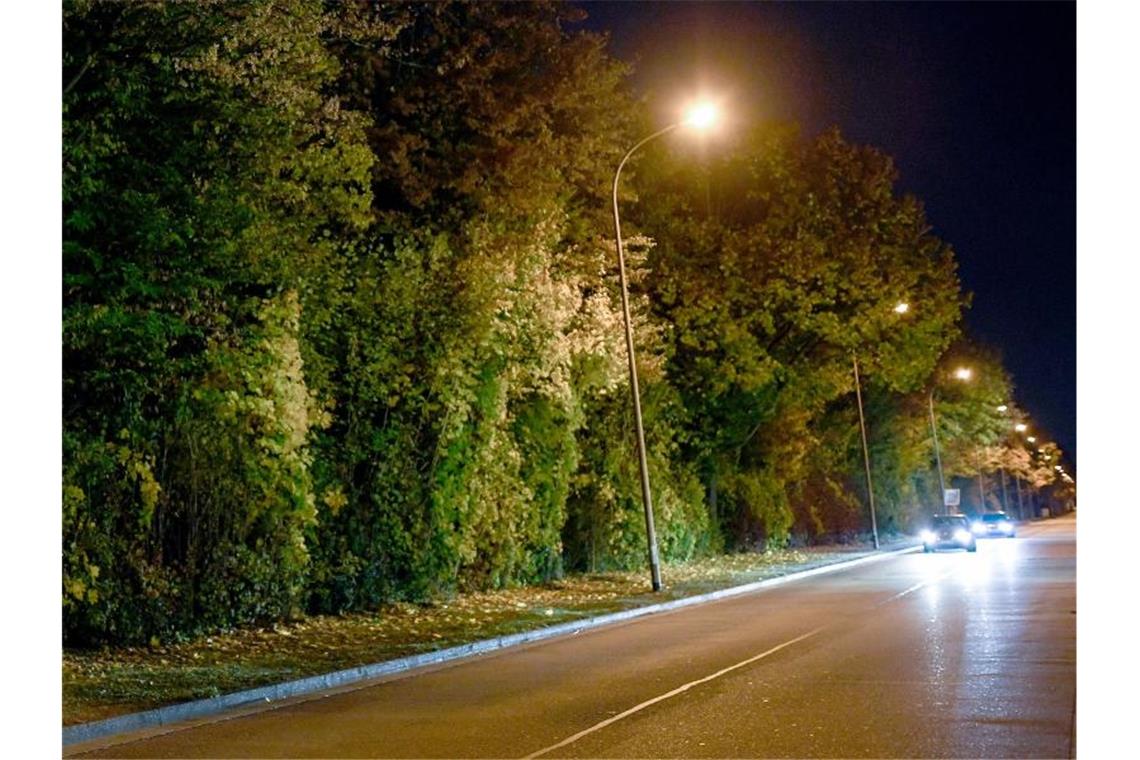 Prozess um Gruppenvergewaltigung ins nächste Jahr verlängert Autos mit eingeschalteten Scheinwerfern fahren auf einer Straße, die von Bäumen gesäumt und von Straßenlaternen erhellt wird. Foto: Patrick Seeger/Archiv