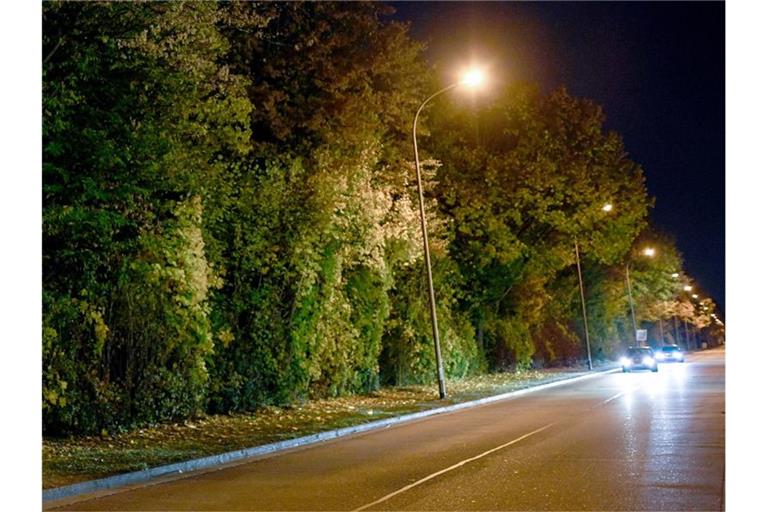Autos mit eingeschalteten Scheinwerfern fahren auf einer Straße, die von Bäumen gesäumt und von Straßenlaternen erhellt wird. Foto: Patrick Seeger/Archiv