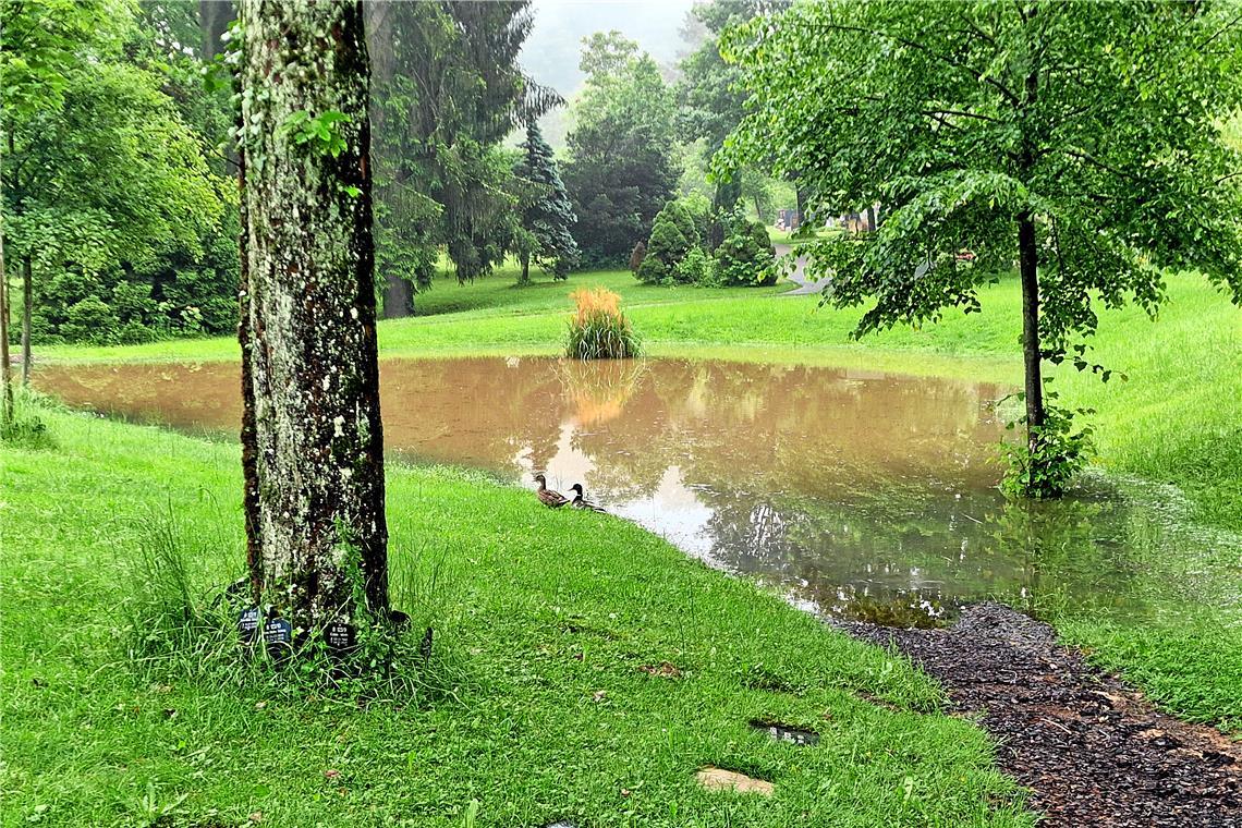 Hochwassergefahr im Rems-Murr-Kreis: So ist die Lage Backnang hat einen neuen See auf dem Waldfriedhof. Foto: Petra Maaß
