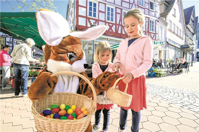 BACKNANG (log). Sonnenschein und ein strahlend blauer Himmel lockten am Samstag zahlreiche Besucher auf den Osterwochenmarkt in Backnang. Besonders die kleinen Gäste waren schon früh auf den Beinen, denn ab 9.30 Uhr waren sie zur Ostereiersuche eingeladen. Zwischen Obst, Gemüse und Blumen hatten die Veranstalter fünf Verstecke eingerichtet, aus denen die kleinen Helfer des Osterhasen jeweils ein buntes Ei entnehmen durften. Die im Sortiment versteckten Eier sollten derweil auch den Blick der Eltern auf die angebotenen Produkte lenken. Auf dem Rathausplatz tauschten Oberbürgermeister Frank Nopper sowie die Backnanger Stadträte die Ausbeute der Kinder dann gegen Süßigkeiten ein. Etwa 450 Kinder haben ihre gesammelten Eier abgegeben, sagt Simon Köder vom Stadtmarketingverein. Erstmals war auch der Stadtmarketing-Hase vor Ort. Dieser konnte kurzentschlossenen Gästen auf dem Markt die Aktion erklären und war ein beliebtes Fotomotiv. Darüber konnten auf dem Rathausplatz Kaninchen und Hühner bewundert werden, zudem zeigte die Kaninhop-Gruppe des Kleintierzuchtvereins Murrhardt ihr Können. Foto: A. Becher