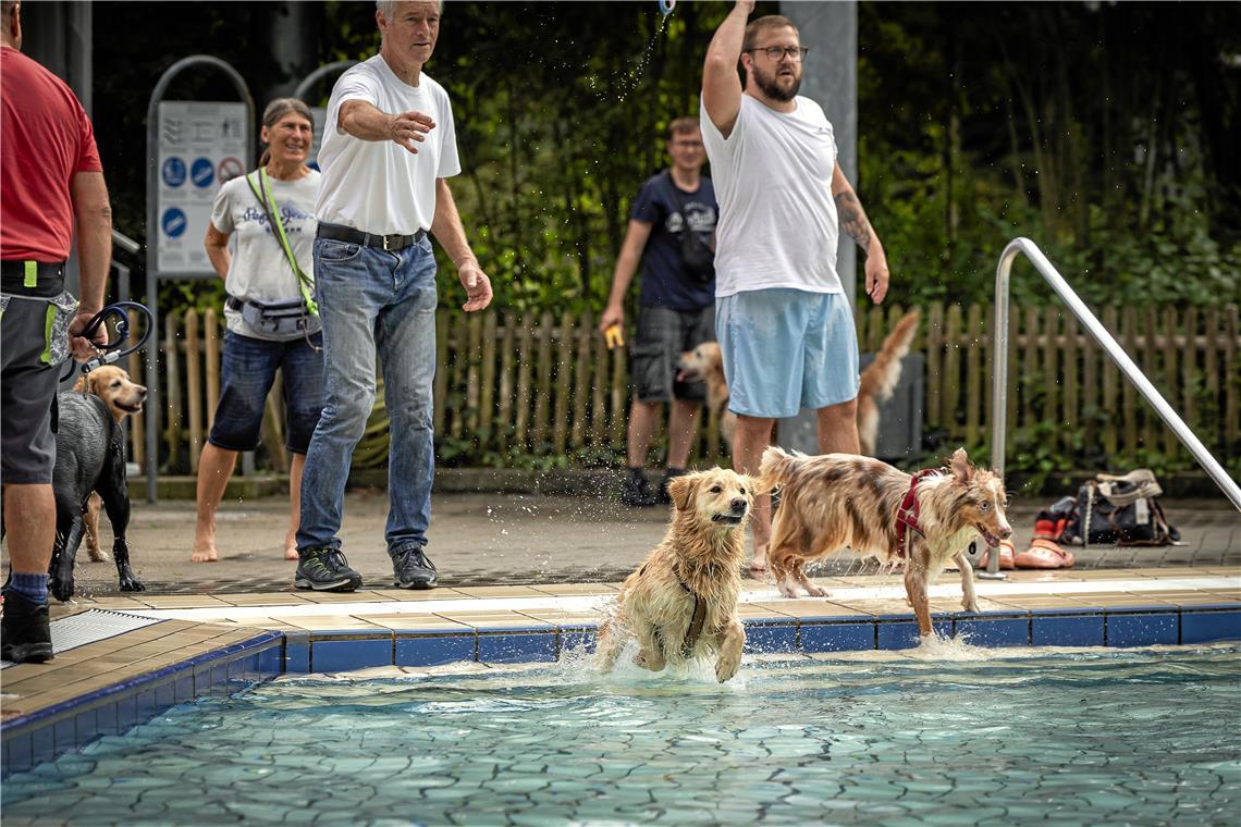 Backnanger Hundeschwimmfest