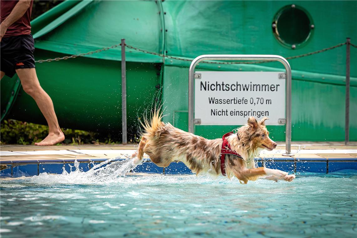 Backnanger Hundeschwimmfest