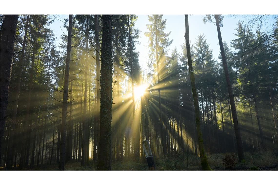 Baden-Württemberg erwartet im Tagesverlauf überwiegend freundliches, mildes und trockenes Wetter.