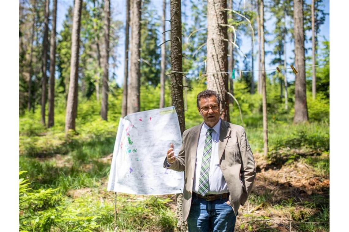 Baden-Württembergs Agrarminister Peter Hauk steht in einem Waldstück nahe Hürrlingen. Foto: Philipp von Ditfurth/dpa/Archivbild