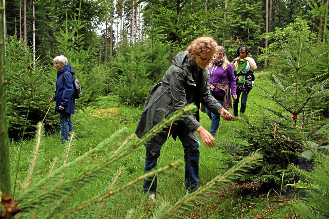 Bäume anfassen, an ihnen riechen: Es geht darum, den Wald mit allen Sinnen zu erleben.