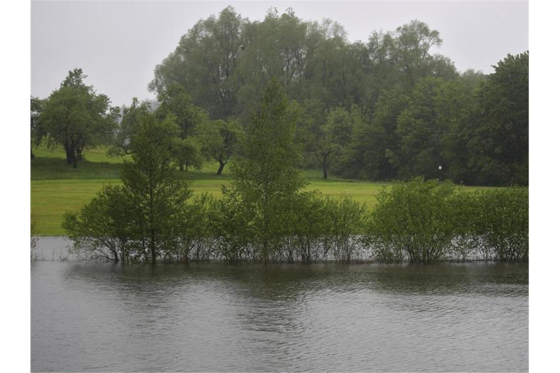 Bäume stehen auf einer überfluteten Wiese in Wangen. Foto: Karl-Josef Hildenbrand