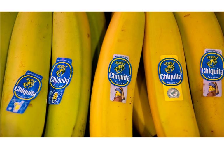 Bananen von Chiquita liegen in einem Supermarktregal in Bayern. (Archivbild)