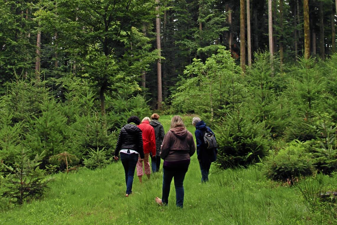 Eintauchen in die mentale Waldbadewanne Barfuß führt Michaela Genthner (Bild unten, vorn) ein Stück durch den Wald. Fotos: M. Maier