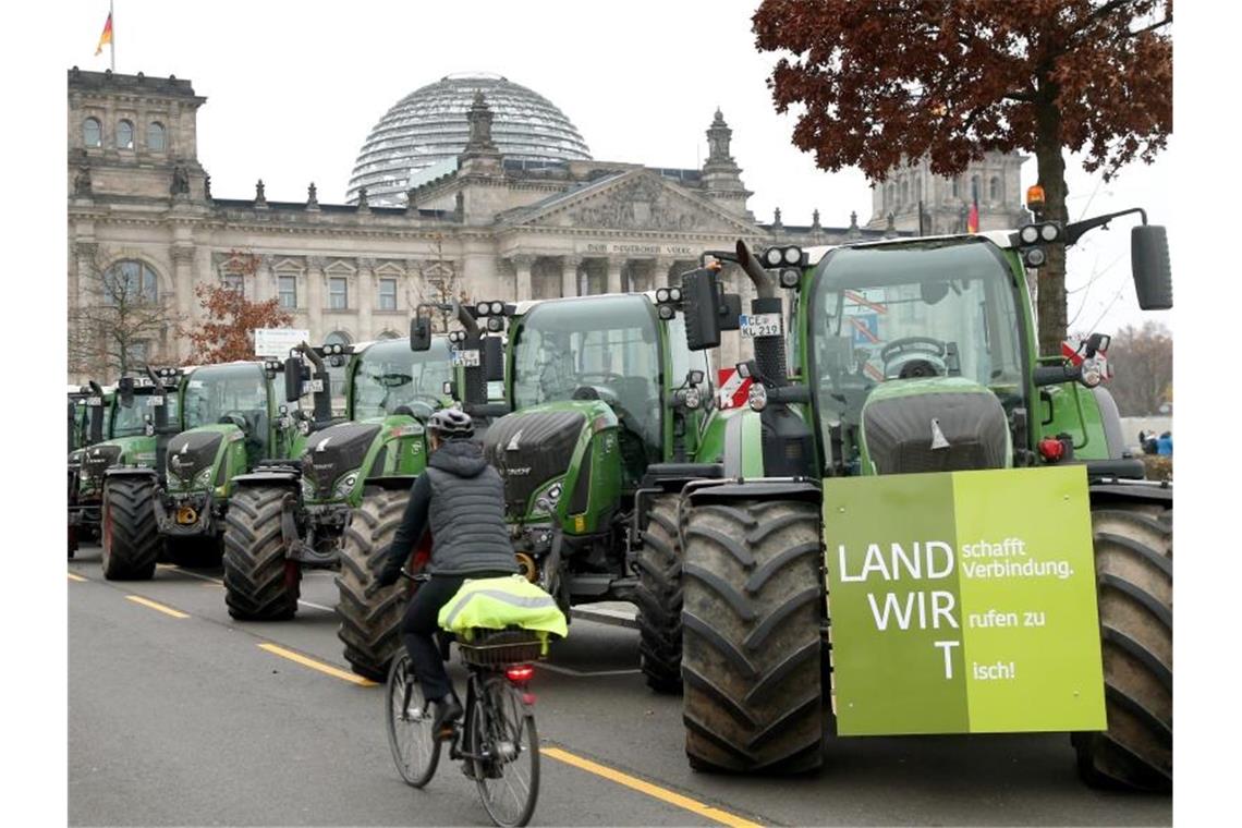 Bauern aus ganz Deutschland demonstrieren gegen die Agrarpolitik der Bundesregierung. Foto: Wolfgang Kumm/dpa