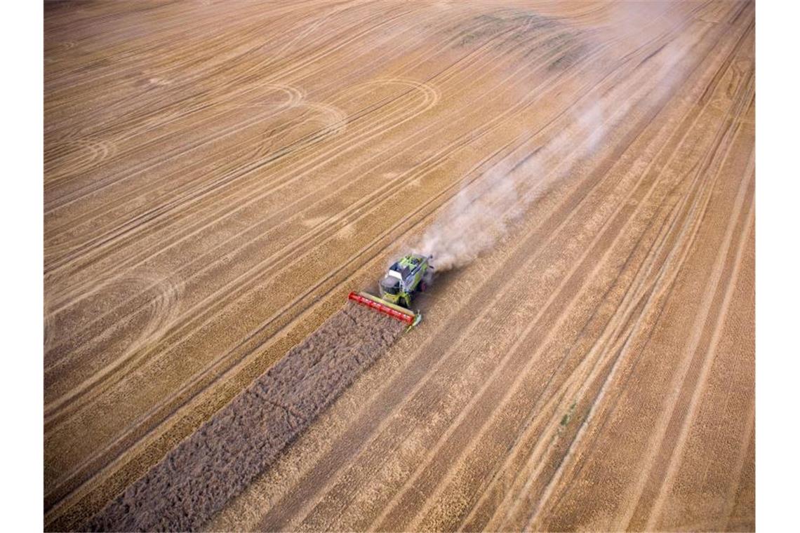 Bauern ernten ein Weizenfeld in Mecklenburg-Vorpommern ab. Foto: Jens Büttner/zb/dpa