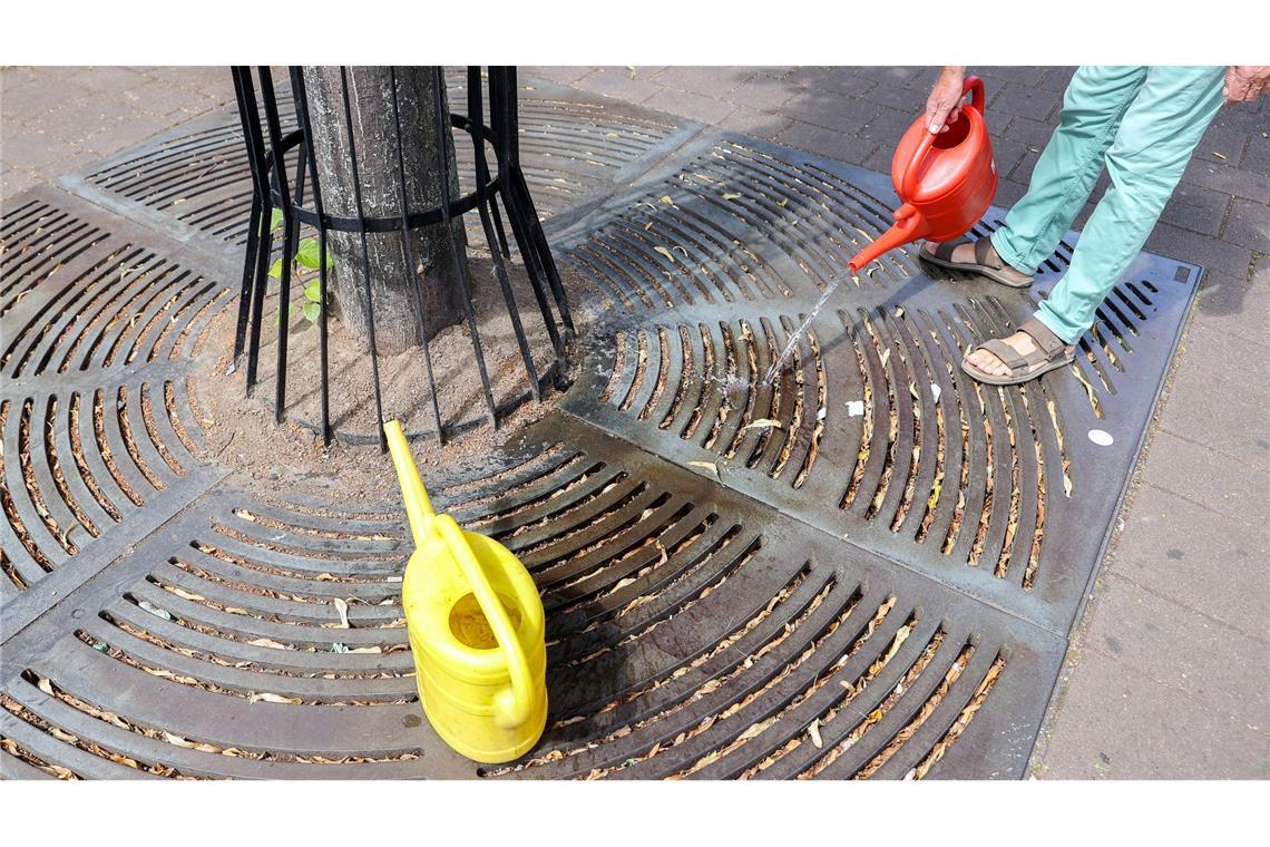 Der gestresste Stadtbaum - Was ihm helfen kann Baumpatenschaften helfen durstigen Stadtbäumen.