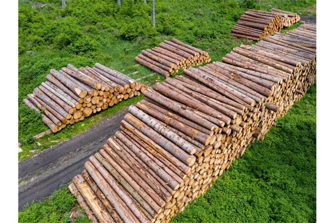 Baumstämme liegen auf mehreren Poltern in einer kahl geschlagene Waldfläche im Erzgebirge. Foto: Jan Woitas/dpa-Zentralbild/dpa