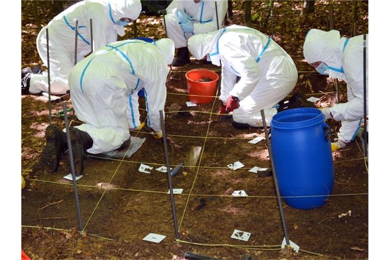 Beamte der Spurensicherung der Kriminalpolizei Ingolstadt suchen in einem Waldstück nach Knochen eines seit 2002 vermissten jungen Paares. Foto: -/Polizeipräsidium Oberbayern Nord/dpa
