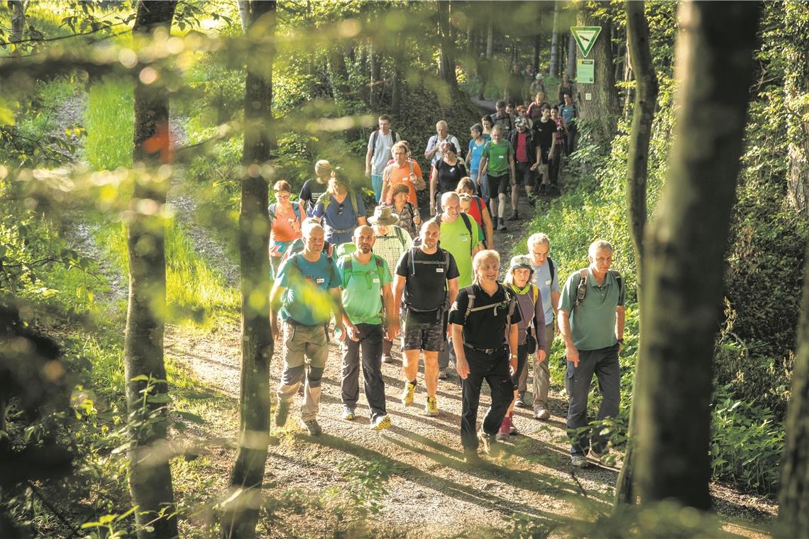 Begegnung und Naturerleben im Schwäbisch-Fränkischen Wald: Naturparkführer Walter Hieber (vorne Mitte, in Schwarz) mit der Wandergruppe beim Hörschhof, die sich auf eine 24-Stunden-Tour unter dem Motto „Schlaflos im Schwäbischen Wald“ gemacht hat. Archivfoto: A. Becher