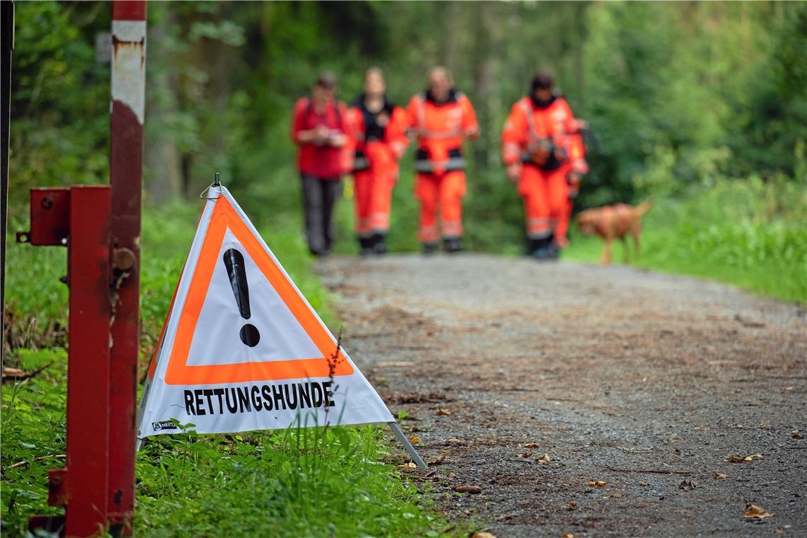 Begleitung beim Training der Rettungshundestaffel im Wald bei Kaisersbach.