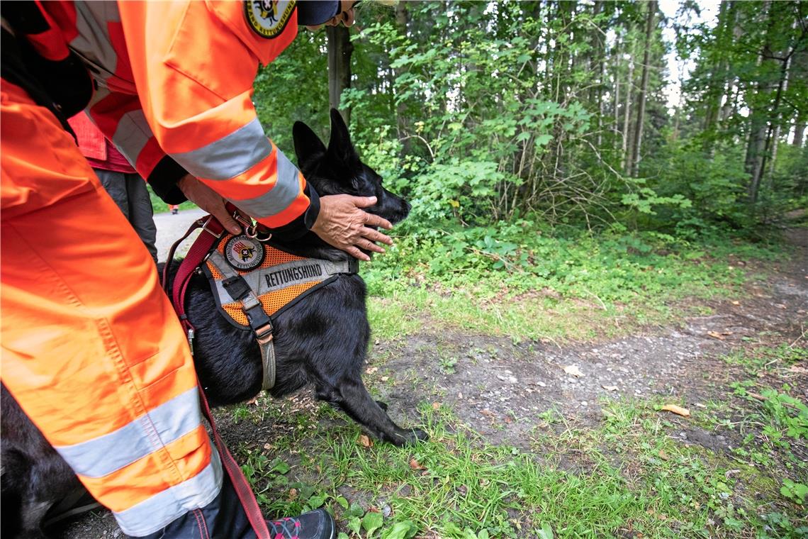 Begleitung beim Training der Rettungshundestaffel im Wald bei Kaisersbach.