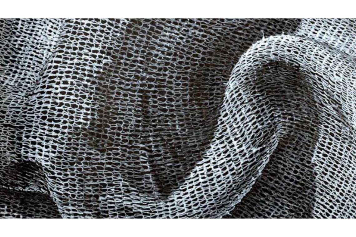 Galerienrundgang Art Alarm: Zwei Lange Kunst-Tage in Stuttgart Bei Amann: Monika Supé, Enigma 3 (Ausschnitt)
