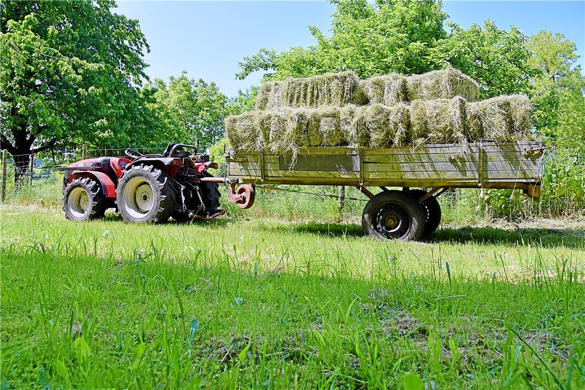 Wetter im Mai: Erst im Verlauf ein Wonnemonat Bei bestem Wetter lässt es sich gut in der Landwirtschaft arbeiten – wie hier in Oppenweiler-Reichenberg. Foto: Tobias Sellmaier