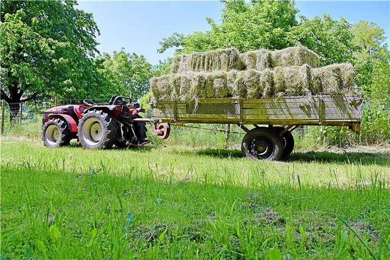 Bei bestem Wetter lässt es sich gut in der Landwirtschaft arbeiten – wie hier in Oppenweiler-Reichenberg. Foto: Tobias Sellmaier