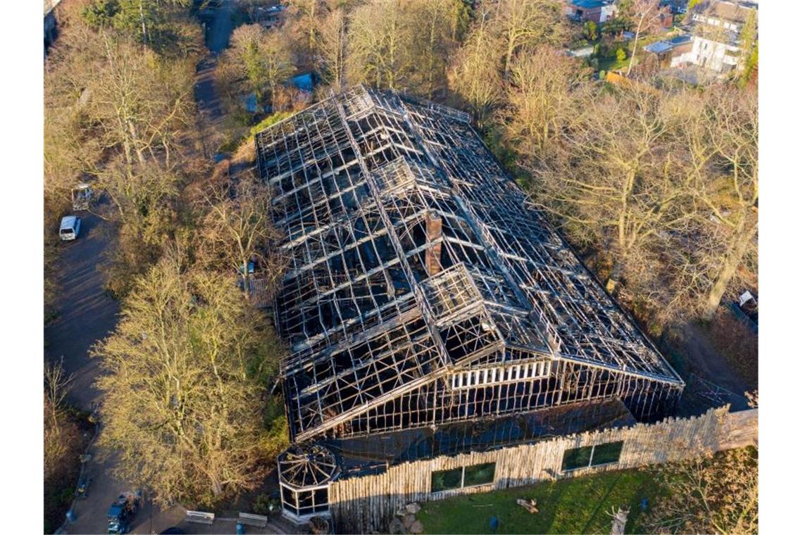 Nach Zoobrand: Suche nach weiteren Mitverantwortlichen Bei dem Feuer im Affenhaus des Krefelder Zoos waren in der Silvesternacht mehrere Menschenaffen gestorben, darunter Orang-Utans, Gorillas und ein Schimpanse. Foto: Christoph Reichwein/dpa