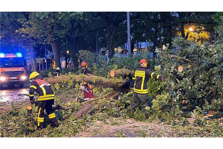 Bei dem Unwetter stürzte in Frankfurt ein Baum um, die Feuerwehr rückte aus.