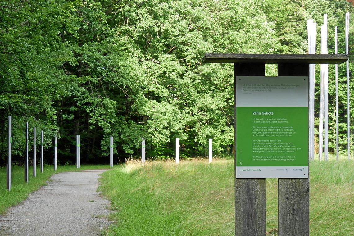 Der Leistungstracker bleibt hier aus Bei dem Weiterweg handelt es sich um ein Land-Art-Projekt, das im Jahr 2007 von der Graf von Pückler und Limpurg’schen Wohltätigkeitsstiftung im eigenen Wald realisiert wurde .Fotos: H. Gehrke
