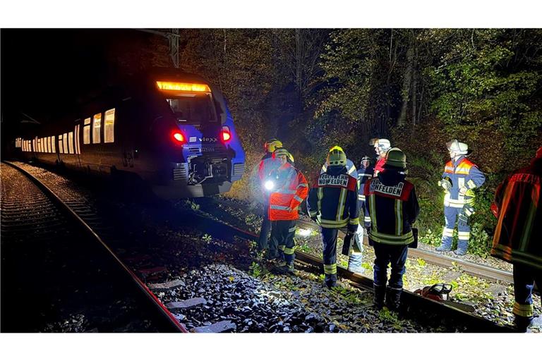 Bei dem Zusammenstoß mit einem Baum wurde kein Passagier des Zuges verletzt.