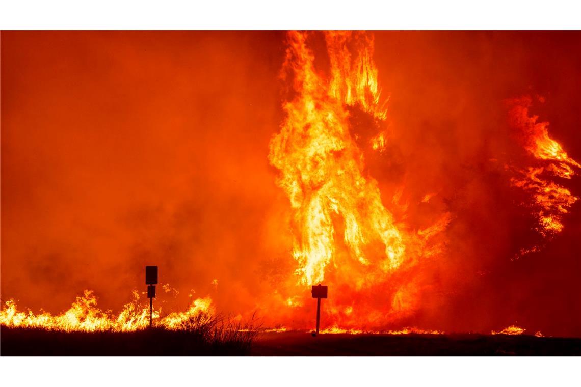 Trump droht Kalifornien: Keine Hilfe für Feuer-Bekämpfung Bei den Feuern in Kalifornien sind inzwischen mindestens 28 Menschen gestorben und mehr als 15.000 Gebäude zerstört worden.