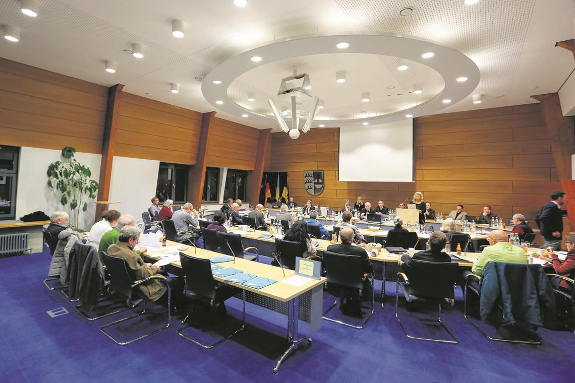 Bei den Sitzungen des Backnanger Gemeinderats wird ab Donnerstag vieles anders.Archivfoto: A. Becher