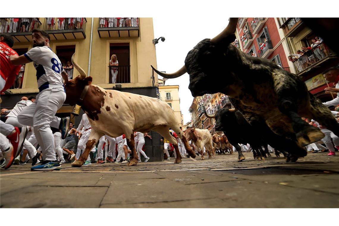 Solidarität mit Palästinensern bei Sanfermín-Fest in Spanien Bei den Stierhatzen gibt es immer wieder Verletzte.