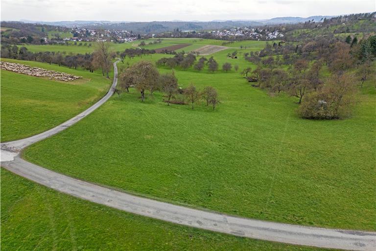 Bei den Streuobstwiesen Richtung Auenwald soll der Grillplatz entstehen. Foto: Alexander Becher