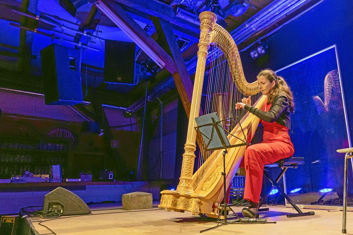 Eröffnung der Winterkulturtage mal anders Bei der Auftaktveranstaltung der Winterkulturtage gab Silke Aichhorn lustige Einblicke ins Leben als Harfenistin. Foto: A. Becher