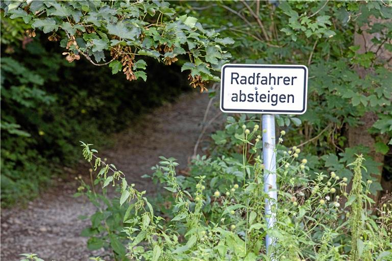 Bei der Geisterhöhle in Kirchberg an der Murr haben es Radfahrer schwer. Der nicht ungefährliche Weg wird nun saniert. Diese Aufnahme stammt noch aus der Zeit, bevor wegen des Eschentriebsterbens stark in den Forst eingegriffen wurde. Foto. A. Becher