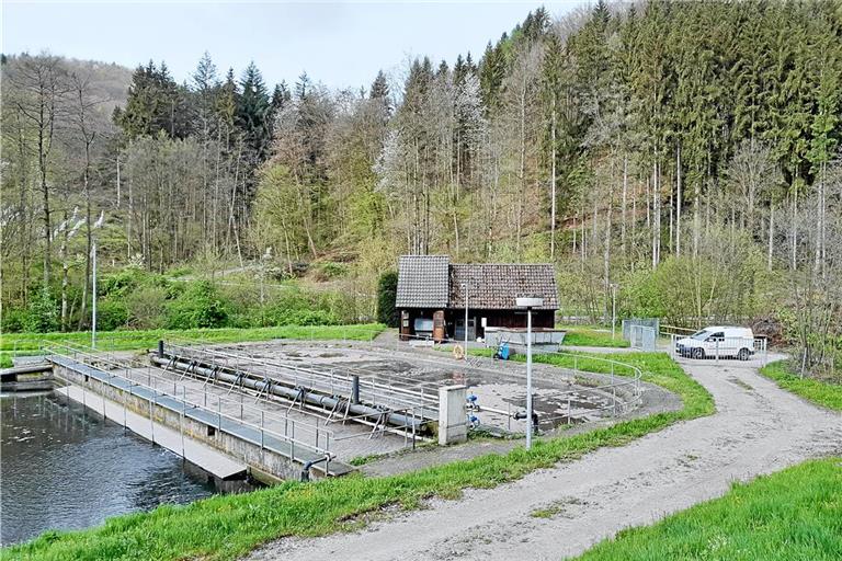 Bei der Kläranlage in Spiegelberg hat sich ein Platz zum Abladen von Grüngut gebildet.