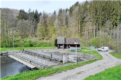Bei der Kläranlage in Spiegelberg hat sich ein Platz zum Abladen von Grüngut gebildet.