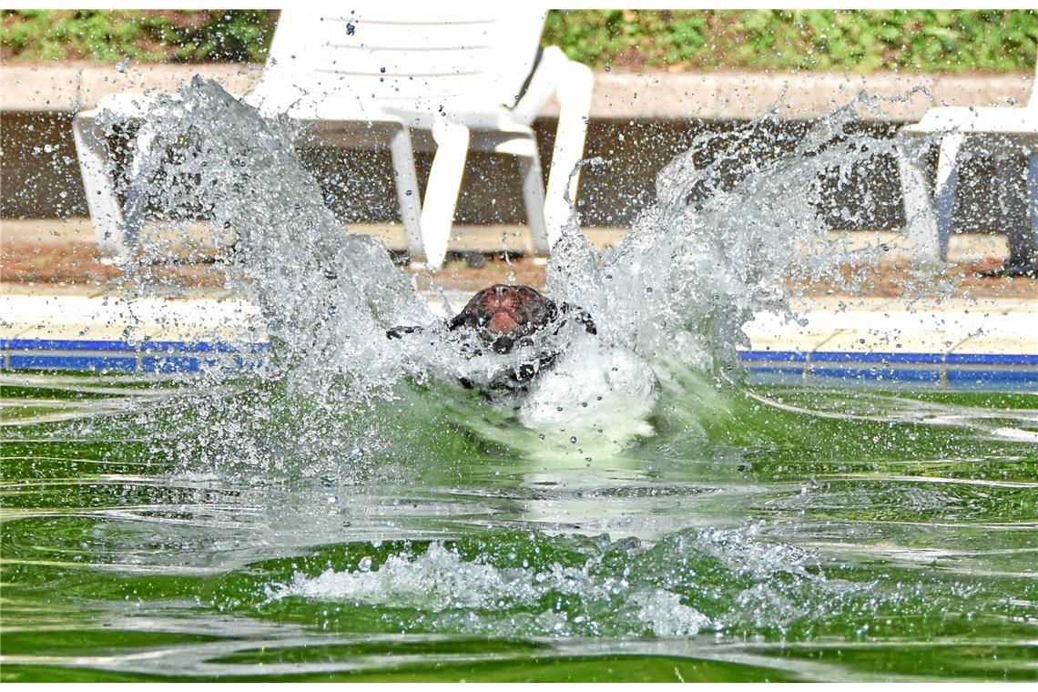 Bei der Landung im Wasser schlagen die Wellen. 