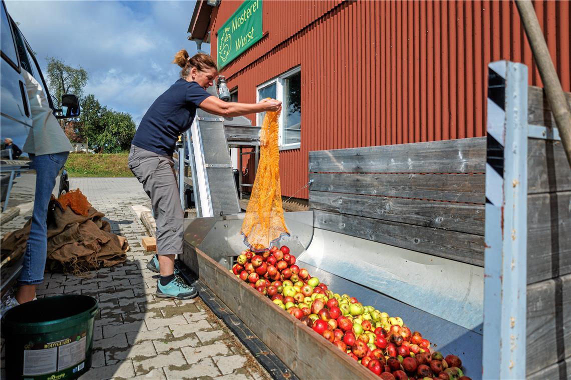 Auch regionaler Apfelsaft wird wohl teurer Bei der Mosterei Wurst in Murrhardt-Köchersberg wird gerade im Hochbetrieb gemostet. Fotos: Stefan Bossow