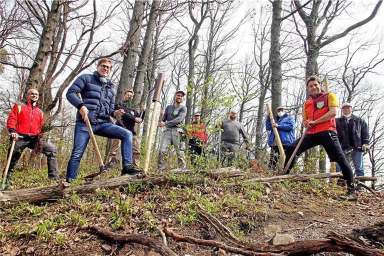 Bei der Pflanzaktion in der Nähe des Parkplatzes Krugeiche haben mehrere Helfer mit angepackt und einen illegalen Trail quasi mit natürlichen Mittel blockiert.Foto Avanti