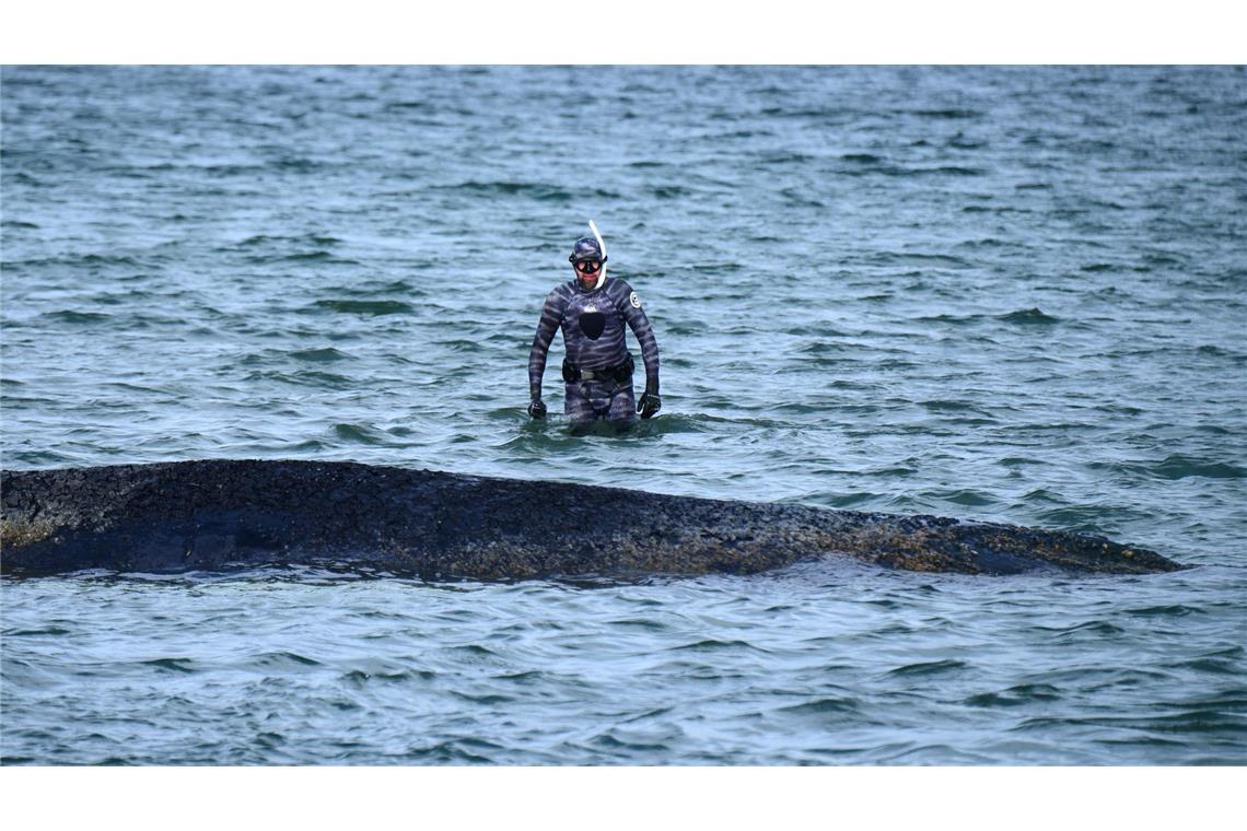 Bei der Rettungsaktion vor Timmendorfer Strand hat Lehmann unterstützt. (Archivbild)