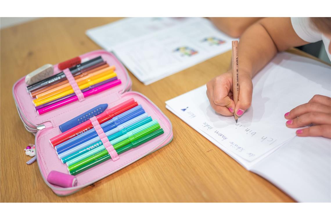 Jungen sind erst nach Schulstart besser in Mathe als Mädchen Bei der Sprachentwicklung sind Mädchen schon zu Schulbeginn besser. (Archivbild)